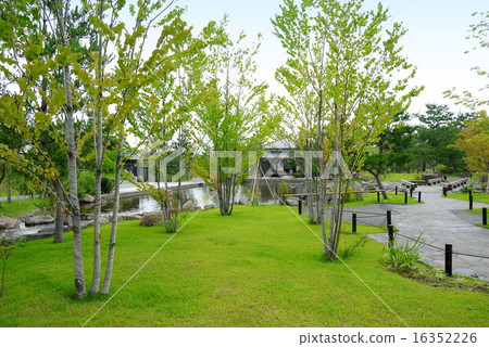 返回東京世田谷區名護多摩川公園的櫻花（六月） 16352226