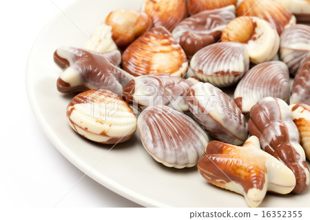chocolate seashells 16352355