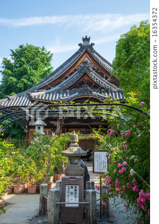 Oshusa Kannon Oshusa Kannon 16354372