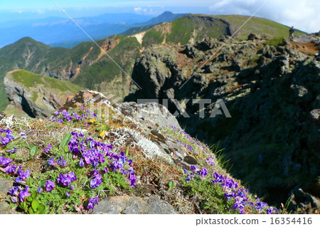 Yatsugatake · Yokodake's oyamando peas and Iwodake 16354416