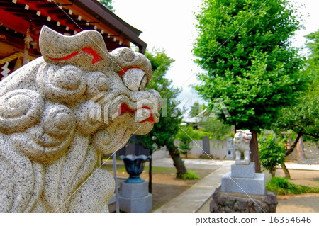 Guardianship (7) 16354646