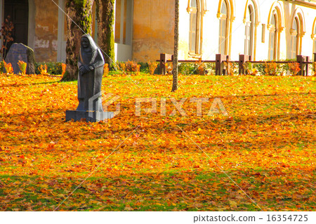 秋葉（拉脫維亞） 16354725