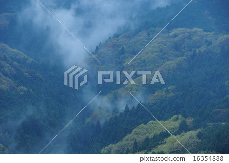 霧山 霧山 16354888