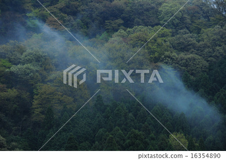 霧山 霧山 16354890