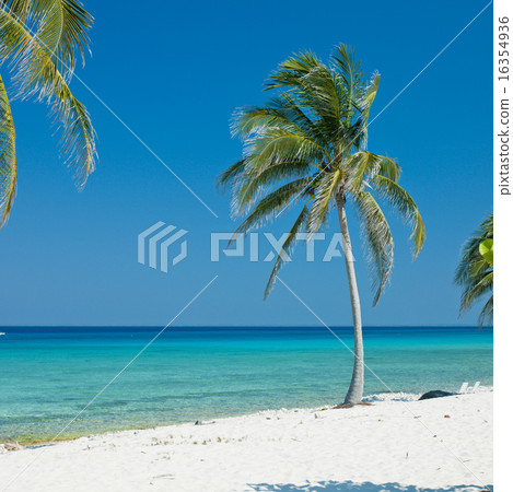 Maria la Gorda, Pinar del Rio Province, Cuba Maria la Gorda, Pinar del Rio Province, Cuba 16354936