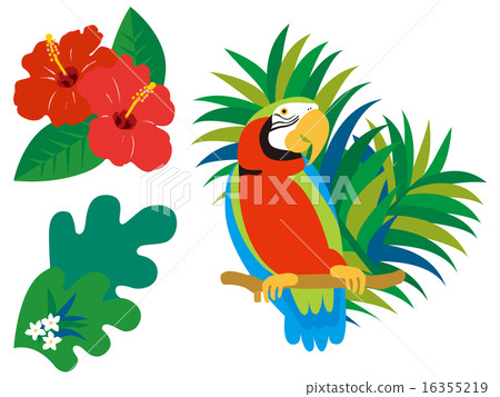Tropical three species set, parrot, hibiscus, Primelia 16355219