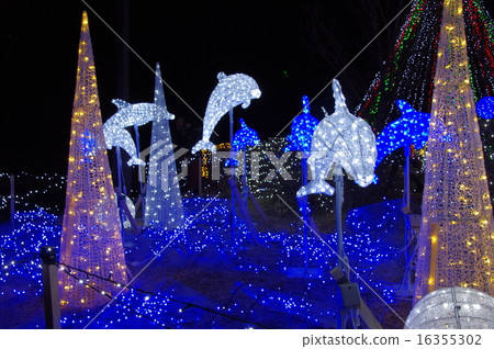 海豚的照明 16355302