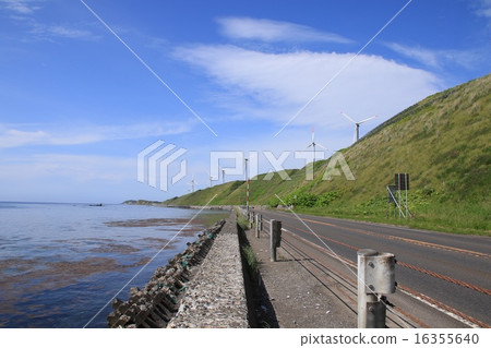 View Uenpyo Green Hill Wind Farm from the south (from the coast 16355640
