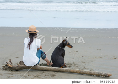 A woman sitting on a beach with a dog 16355938