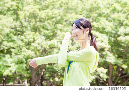 Sports woman stretch preparation gymnastics Sports woman stretch preparation gymnastics 16356505