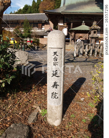 Yoshinagin 16357296