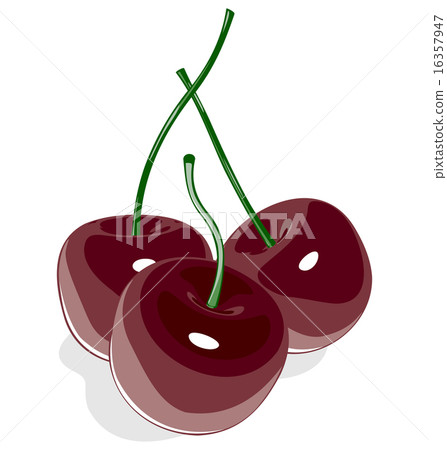 Dark red sweet cherry isolated on white 16357947