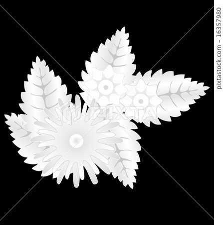 White flowers isolated on black 16357980
