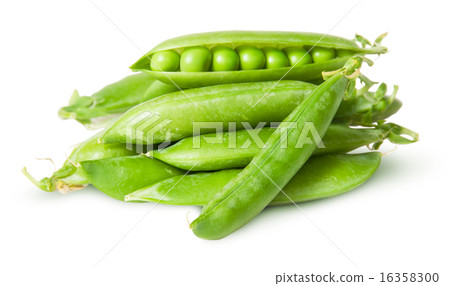 Pile of fresh green peas in the pods Pile of fresh green peas in the pods 16358300