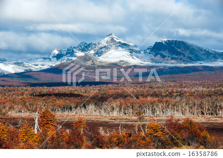 Autumn in Patagonia. Cordillera Darwin Autumn in Patagonia. Cordillera Darwin 16358786