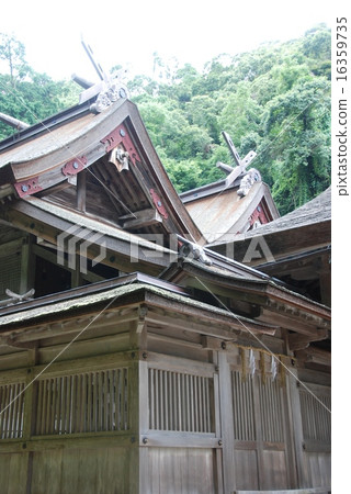 The main shrine of Miho Shrine (Miho-ji Town, Matsue shimane prefecture) 16359735