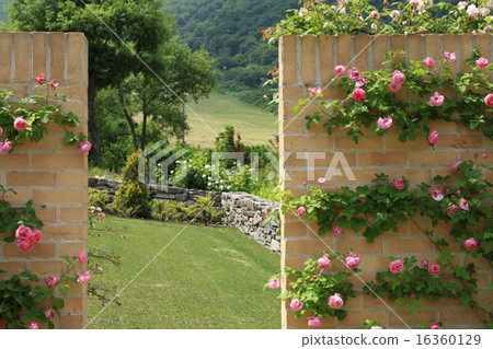 高原的英國庭院 高原的英國庭院 16360129