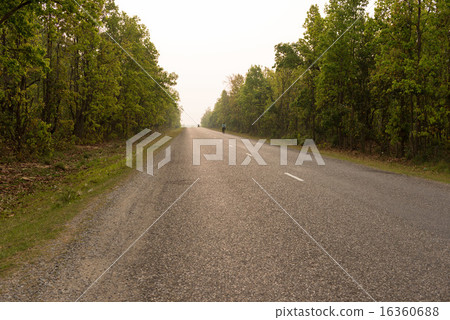 Mahendra Highway in Nepalese Morning 16360688