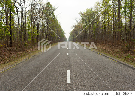 Mahendra Highway of Nepal Chitwan 16360689