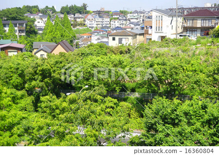 神奈川縣橫濱市的綠色住宅區 神奈川縣橫濱市的綠色住宅區 16360804