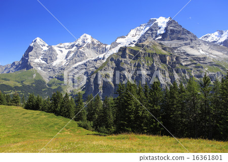 Bernese Oberland Miyama Bernese Oberland Miyama 16361801