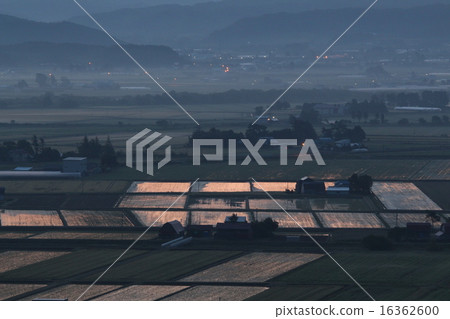 breaking Dawn  16362600