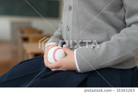 ball  16363263