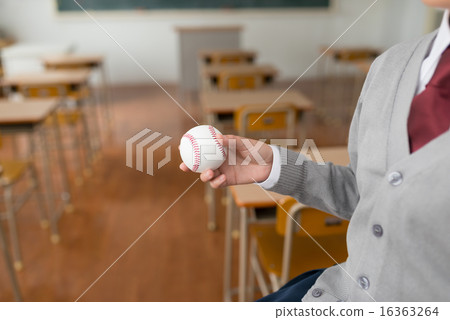ball  16363264