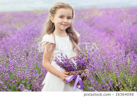 Pretty child girl in lavender field with basket of flowers 16364098