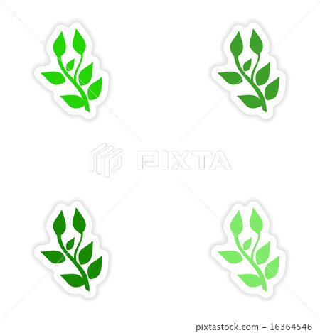 assembly realistic sticker design on paper basil assembly realistic sticker design on paper basil 16364546