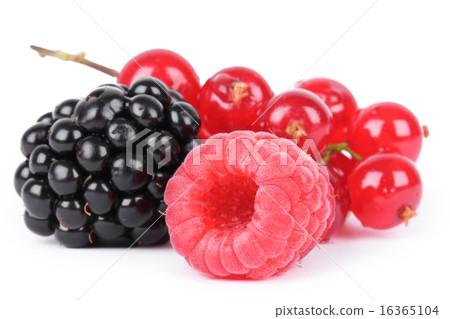Berries isolated on white 16365104