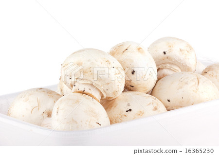 Champinons 16365230