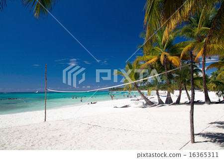 Volleyball net on tropical beach Volleyball net on tropical beach 16365311
