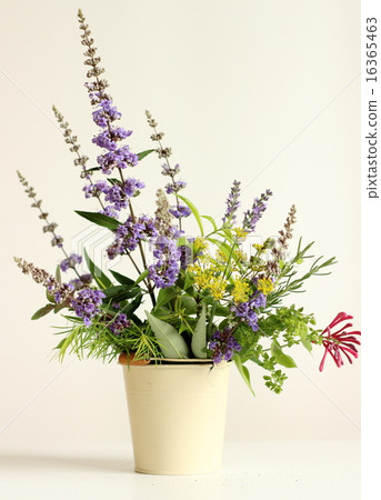芬芳的花束 芬芳的花束 16365463