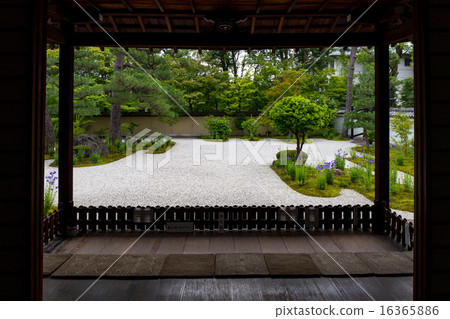 Lushan temple - bellflower Lushan temple - bellflower 16365886