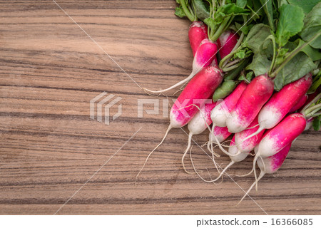 Radishes on a wooden table Radishes on a wooden table 16366085