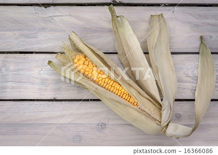 Corn on wooden planks 16366086