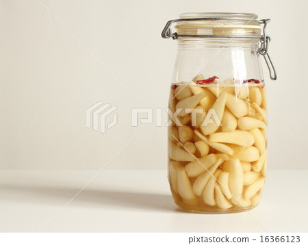 樂教 16366123