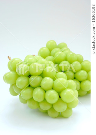 閃耀馬斯喀特 16366198