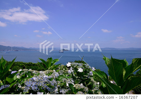 來自齋藤燈塔的部門 16367207