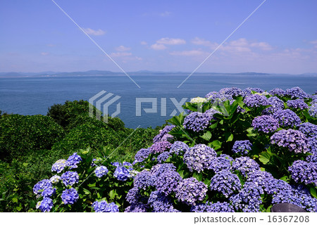 來自齋藤燈塔的部門 16367208