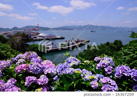 來自Saita燈塔部門的Tachiura Wharf 16367209