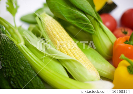 Summer vegetable Summer vegetable 16368334