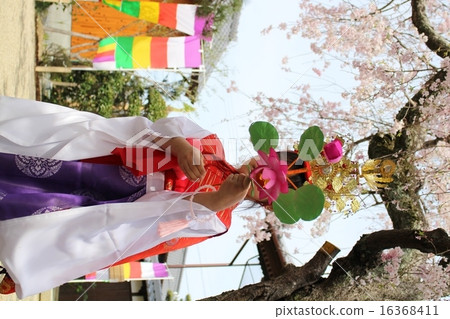 Mr. Child Mr. Child 16368411