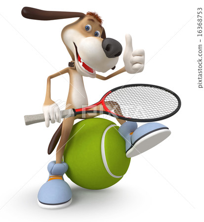 dog tennis player 16368753