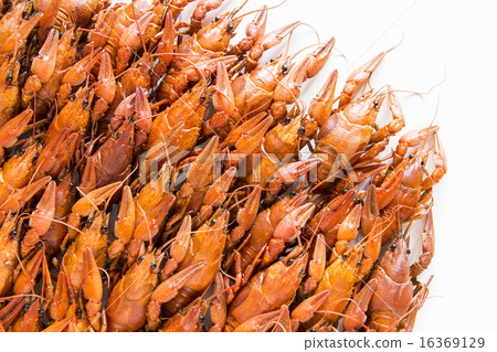 Many crawfishes 16369129