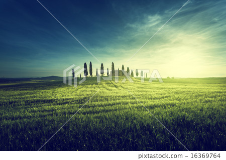 Classic Tuscan views, Pienza, Italy Classic Tuscan views, Pienza, Italy 16369764