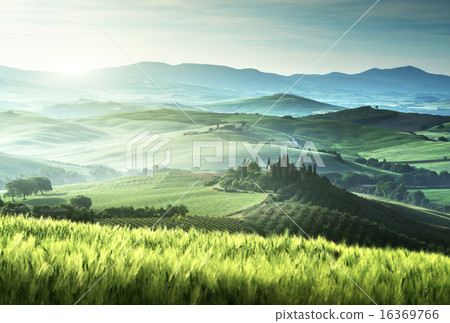 Early spring morning in Tuscany, Italy Early spring morning in Tuscany, Italy 16369766