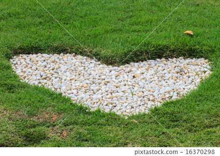 heart in the garden 16370298