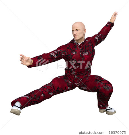 Kung Fu Master 16370975